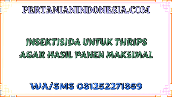 Insektisida Untuk Thrips Agar Hasil Panen Maksimal